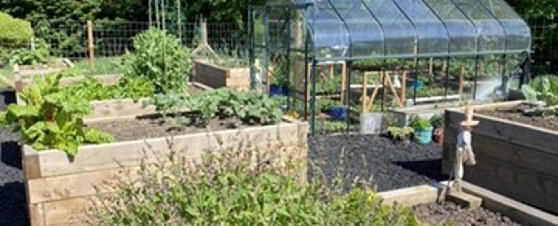 Charters Allotments