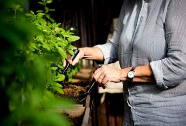 Benefits of gardening in retirement