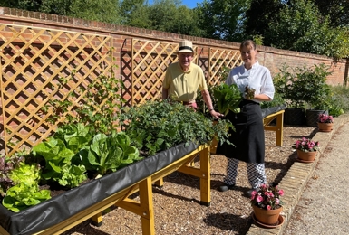 Allotment produce for the kitchen is beginning to come through