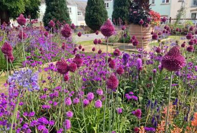 Roseland Parc hosts an open garden event in aid of Cornwall Hospice Care