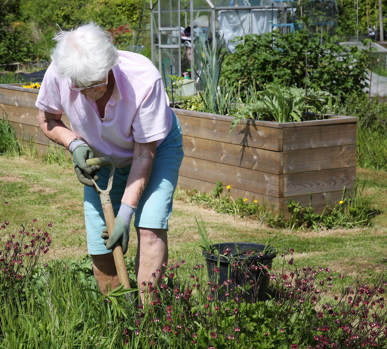 Elmbridge Retirement Villages In Cranleigh Allotments Gardening (1)