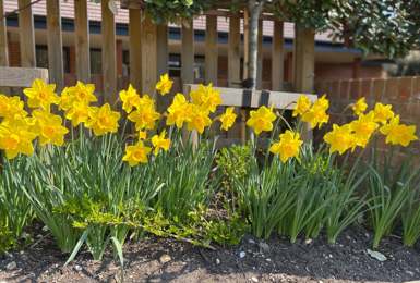 Residents enjoy the woodland walking trail at Gradwell Park