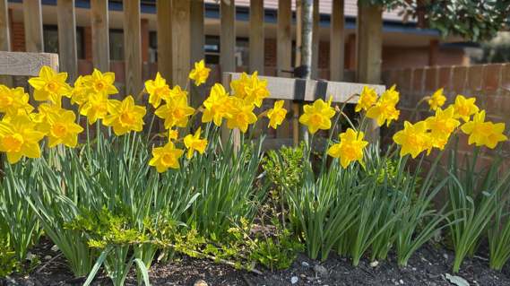 Residents Enjoy The Woodland Walking Trail At Gradwell Park