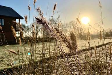 The many great benefits to gardening at Gradwell Park