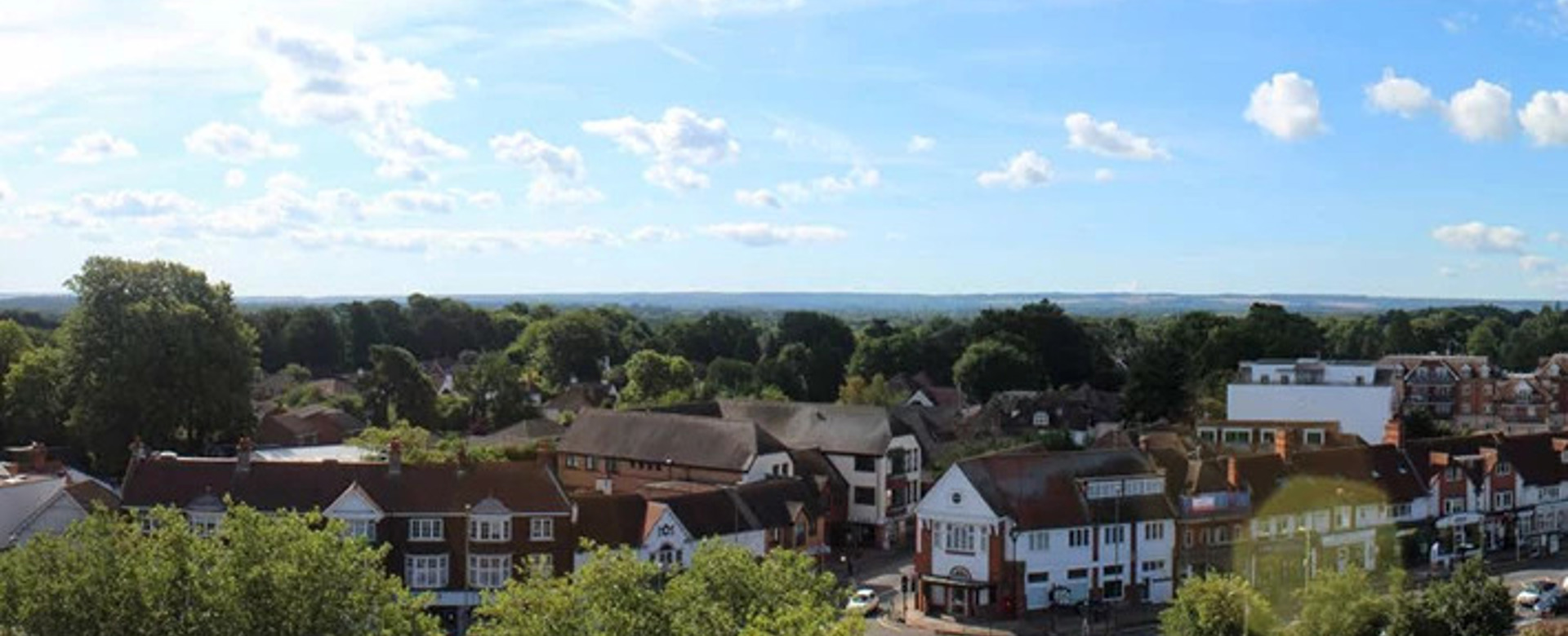 West Byfleet View