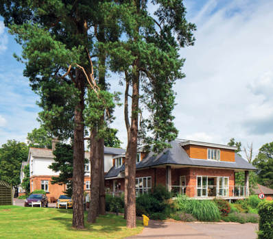 Retirement Villages In Devon Gittisham Hill Park Tree