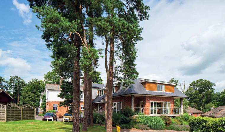 Retirement Villages In Devon Gittisham Hill Park Tree