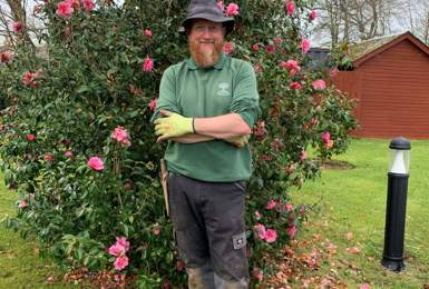 Head Gardner at Roseland Parc Village Wins 13 Prizes at RHS Early Spring Flower Show 2022 in Devon