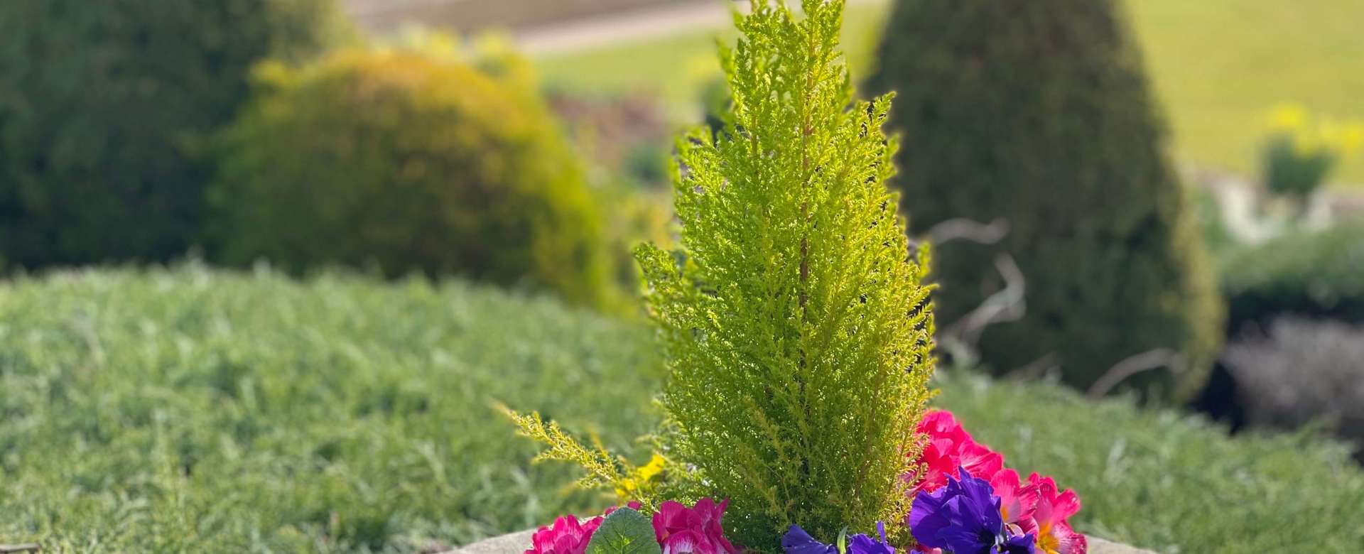 Life Is In Full Bloom In Our Gardens